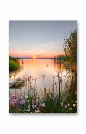 Backwater on the Chudskoy lake. lake Peipsi