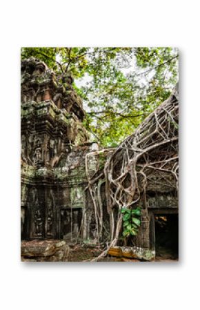 Ancient Khmer architecture. Ta Prohm temple with giant banyan tree at Angkor Wat complex, Siem Reap, Cambodia. Two images panorama