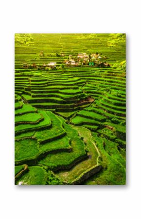 Batad Rice Terraces in Northern Luzon, Philippines.