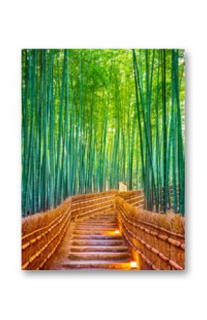 Bamboo Forest in Kyoto, Japan.