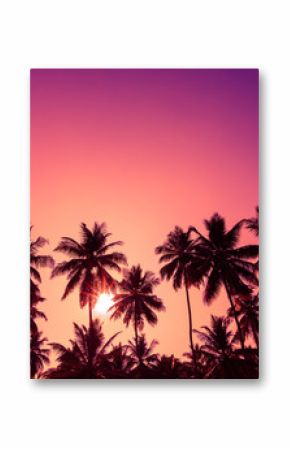 Tropical sunset coconut palm trees silhouettes