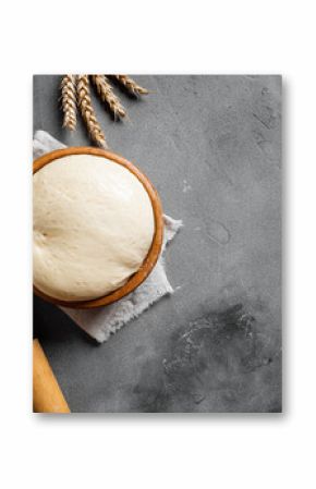 Baking and kneading background with ball of dough