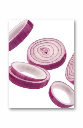 Red onion rings isolated