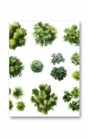 Various green trees, bushes and shrubs, top view for landscape design plan. Isolated watercolor illustration, PNG cutout.