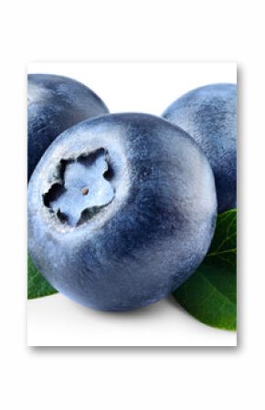 Blueberry isolated png. Blueberry with leaves on white or transparent background. Perfect retouched three blueberries with leaf no background. Png blueberry. Full depth of field.