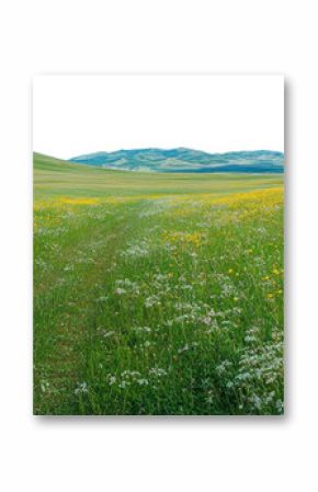 PNG Beautiful spring landscape with a blue sky scenery flowers natural.