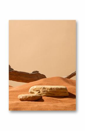 Rough-surfaced boulders set in a sand field in the desert, with weather-worn edges. Dry brown sand forming undulating sand dunes, uneven surface. Wrinkled, rough and rugged dry tree branches.