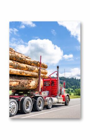 Heavy duty hauler day cab red semi truck transporting logs running on the winding highway road