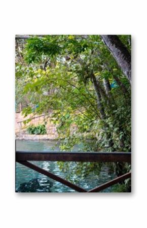 Serene riverside view with lush greenery and a wooden fence, creating a peaceful outdoor setting.