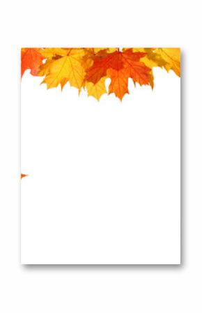 Beautiful yellow,red,orange foliage isolated. Natural background. Border frame of colorful leaves. Vibrant fall colors  