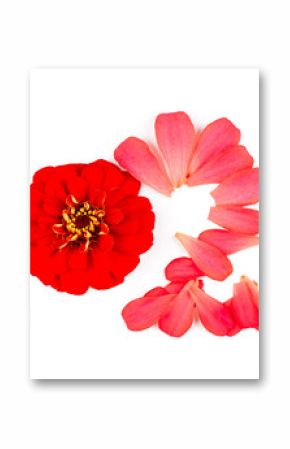 Beautiful flowers on white background. New year 2026 made of flowers on the white background.