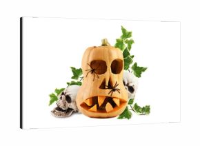 Carved scary halloween face with black spiders on Butternut squash with sculls and green twigs of ivy for holiday on white or transparent background