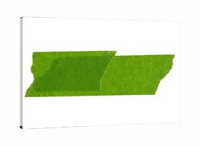 Green adhesive torn paper tape isolated on transparent background