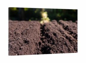 Closeup of dirt and clay in farm field. Soil for planting. Cultivated land. Fertile soil with compost. Soil background.