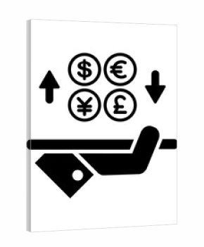 Foreign currency exchange