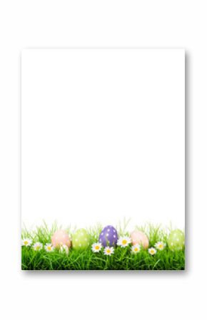 colorful easter eggs with daisies in green grass for spring celebration