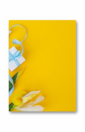 Irises flowers on bright yellow spring background, Easter festive background with gift box