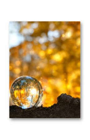 Magic Crystal ball in autumn forest, bright natural abstract background. beautiful fall landscape. crystal ball for meditation, relaxation. Witchcraft, esoteric practice, spiritual ritual. copy space