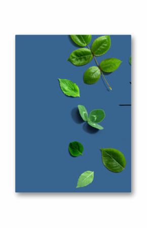 Green light bulb with green leaves - Flat lay