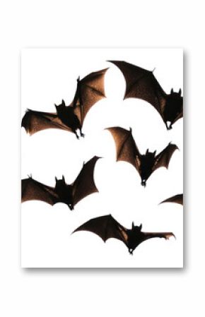 PNG Flying bats group silhouettes background white.