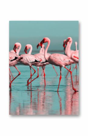 Różowe Flamingi 