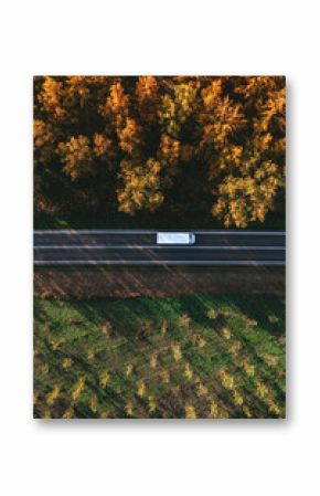 Truck driving along the road through forest landscape in autumn, aerial shot from drone pov
