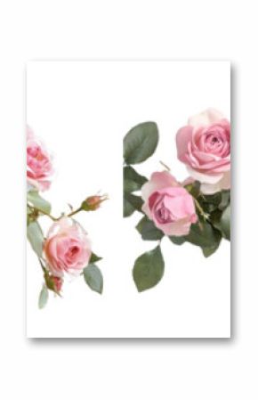 PNG Elegant pink floral garland, element set on transparent background