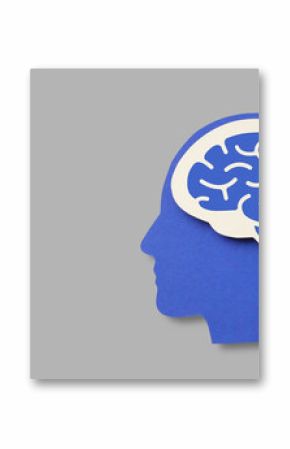 Visualizing the human brain and its significance