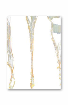 Orange, lemon juice or oil lubricant splash, liquid gold yellow drink drops. Fruit beverage water elements in line form . Fresh splashing and flowing jets, black background isolated freeze motion
