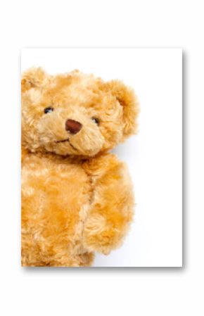 Cute brown teddy bear plush toy on a white background.