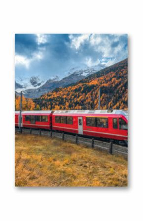 Red Bernina Express train passing through colorful autumn forest near Morteratsch glacier in the Swiss Alps, with dramatic clouds, golden trees and snowy mountain peaks in the background. Switzerland