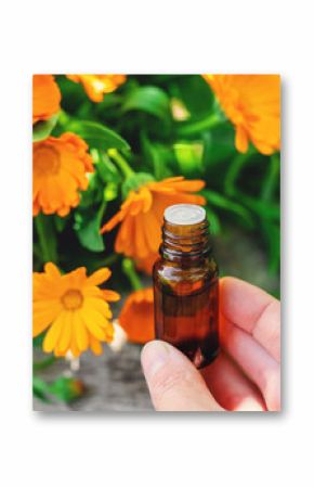 medicinal plant calendula homeopathy. Selective focus.