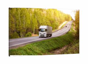 A modern truck transports cargo along a country road against the backdrop of beautiful nature and forest. Freight exchange. Transport and logistics company. Sunny weather. Copy space for text