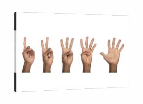 Hand counting numbers with fingers raised upward, showing one to five in sequential gesture for