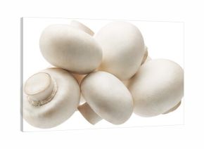 Heap of white champignon mushrooms isolated