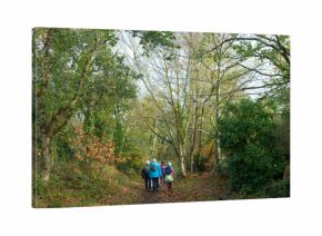 Groupe de randonneurs sur le GR34 en Bretagne