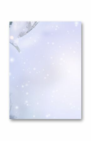 Olive branches in snow with bright bokeh lights. Horizontal background with atmospheric winter landscape for christmas greeting cards with space for text.