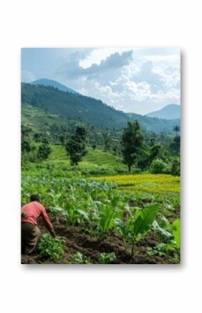 Farmers cultivating crops on lush terraced fields in rwanda