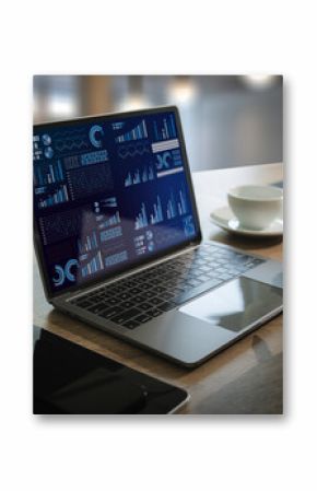 The business analyst used a laptop to analyze financial statistics, creating a digital dashboard for marketing performance reports.