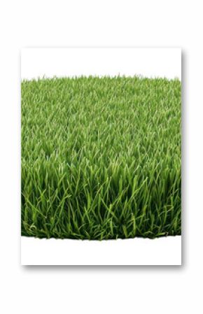 PNG Grass field podium grass isolated lawn.