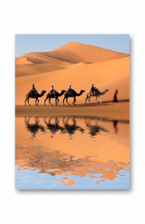 Camel Caravan in the Sahara Desert