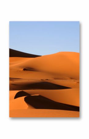 paysage désertique