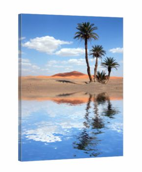 Palm Trees near the Lake in the Sahara Desert