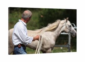 Natural Horsemanship