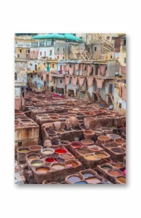 The Tannery in Fez Morocco