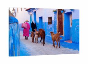 Shepherd Women: Two Women with Goats Walking Down the Blue-White Streets in Chefchaouen, the Blue City of Morocco, with a Stunning Palette of Blue and White Buildings