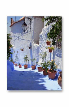 ruelle bleue à chefchaouen au maroc