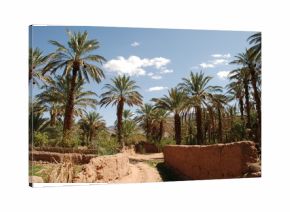 Palmeraie