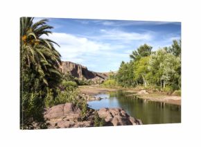 vegetation and water in the oasis of Fint in Morocco