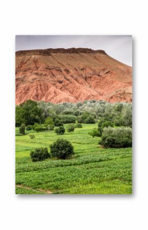 Boumalne Dades,  Morocco, Africa,  North Africa,  scenery fields